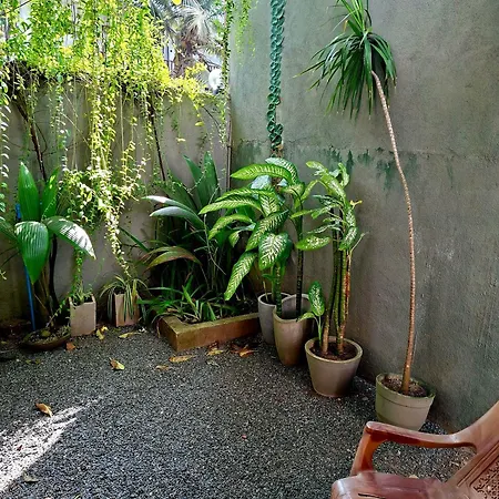 Tiger Villa-3